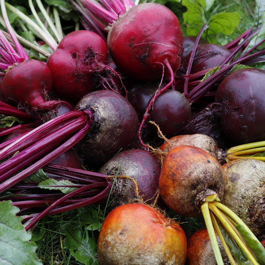 Beetroot Rainbow Seed Mix